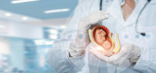 istock Concept modern technologies in the treatment of diagnostics the embryo . 1402913913