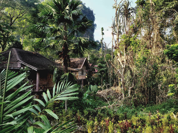 istock Thailand jungle cottages 1402913920