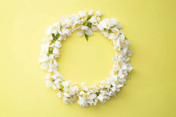 Apple tree blossom flowers circle frame, isolated on yellow background