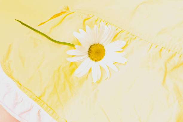 Bunch of fresh spring yellow daisy flowers in sunny day, warm summertime season, orange floral background