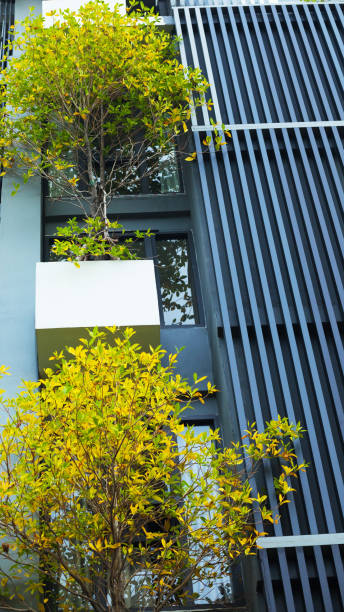 istock Modern condominium building with trees in Bangkok Chatuchak 1402921324