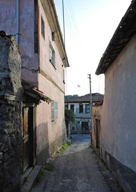 istock Historical Ayas Houses 1402923325