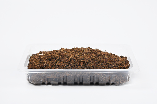 Fertile garden soil dirt in the plastic box on the white background