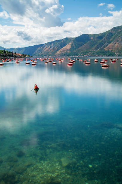 Mussel farm at the Kotor Bay (Boka), Montenegro