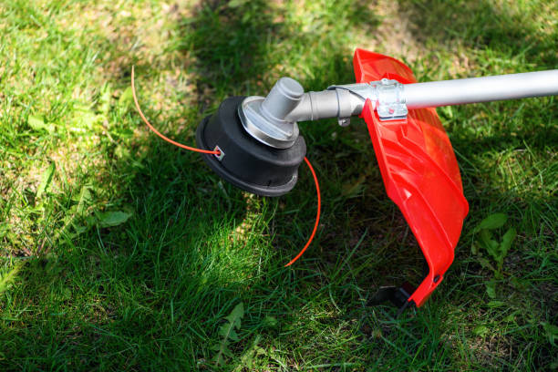 reel of gas trimmer with fishing line, lawn mower on grass background. trimmer head - switch yard imagens e fotografias de stock