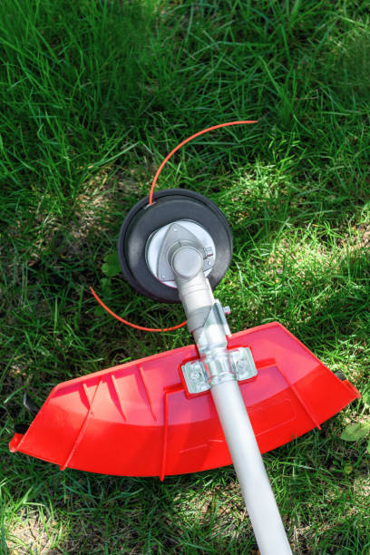 reel of gas trimmer with fishing line, lawn mower on grass background. trimmer head - switch yard imagens e fotografias de stock