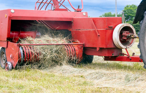 istock Pressed hay. Rolls of dry hay ready for pressing. 1402930619