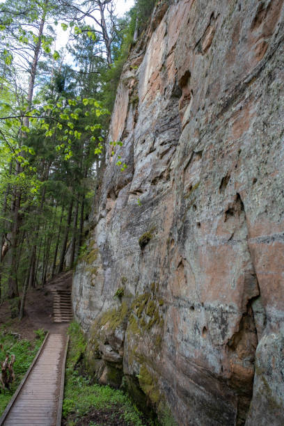istock sandstone cliffs is approximately one kilometre long and is located on the left side of the primeval valley of the River Gauja. Latvia 1402934725