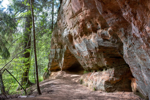 istock sandstone cliffs is approximately one kilometre long and is located on the left side of the primeval valley of the River Gauja. Latvia 1402934763