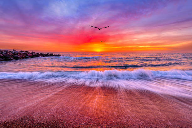 Ocean Sunset Inspirational Landscape Birds stock photo