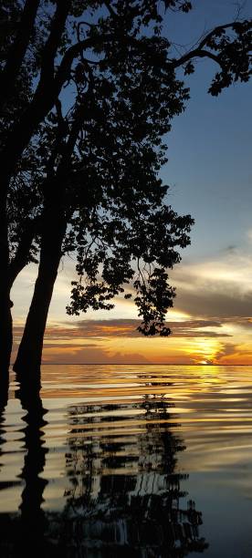 istock Belezas Naturais 1402936204