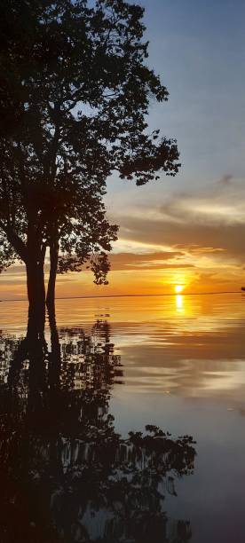 istock Belezas Naturais 1402936217