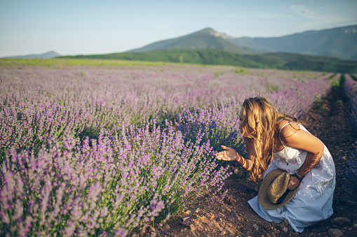 Woman enjoying the smell of lavender in lavander field in the summer