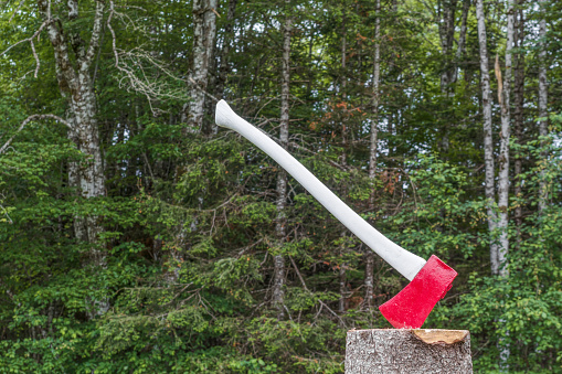 Red and white axe on chopping stump