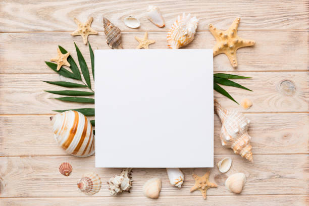 istock Summer time concept with blank greeting card and blank white paper on colored background. Seashells from ocean shore in the shape of frame separated with space for text top view 1402941091