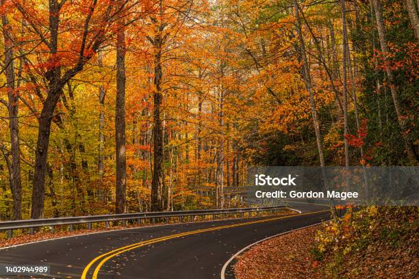 Fall Foliage Along Highway Stock Photo - Download Image Now - South Carolina, Rural Scene, Autumn