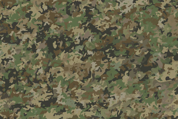 Texture military camouflage, army green hunting Texture military camouflage, army green hunting camo background stock illustrations