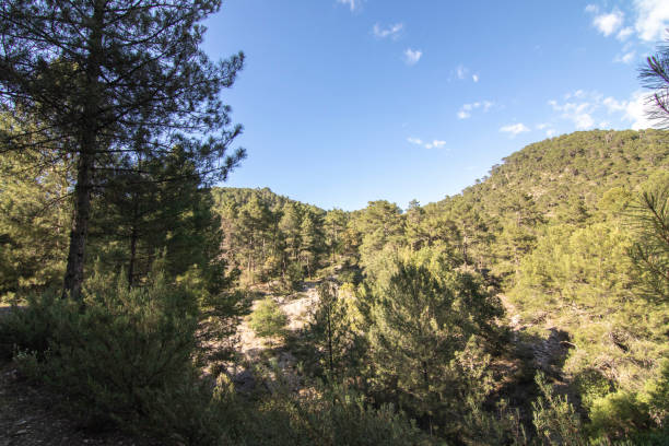 istock Trails with wonderful views of the Sierra De Cazorla, Spain 1402947264
