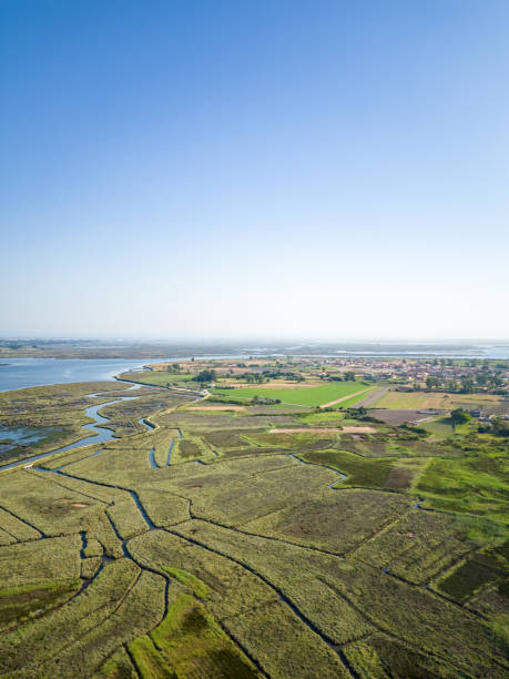 istock Aerial View of rural landscape 1402948036