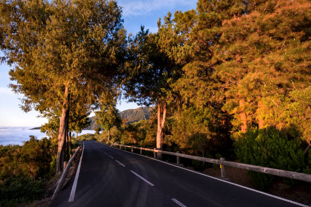 istock Landscape of road through the forest 1402948487