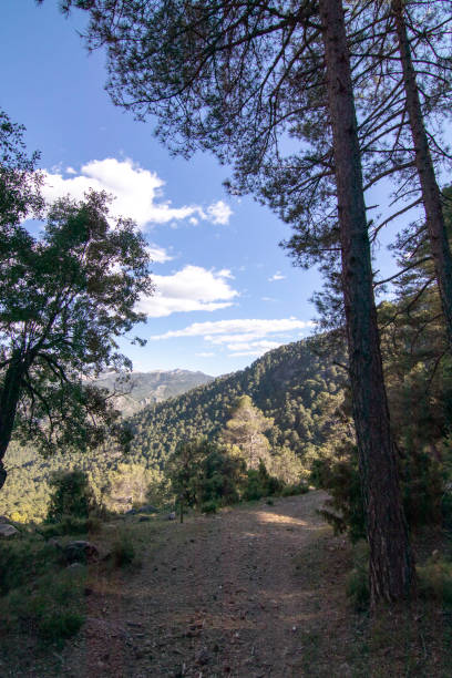 istock Trails with wonderful views of the Sierra De Cazorla, Spain 1402949237