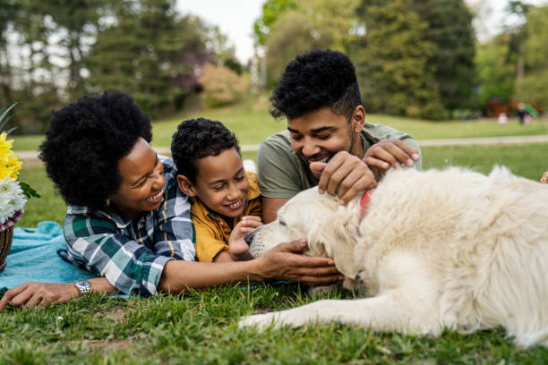 istock Young loving family having fun in the park 1402955352