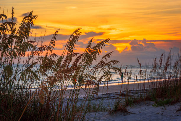 Lido Key Beach, Sarasota, Florida, USA