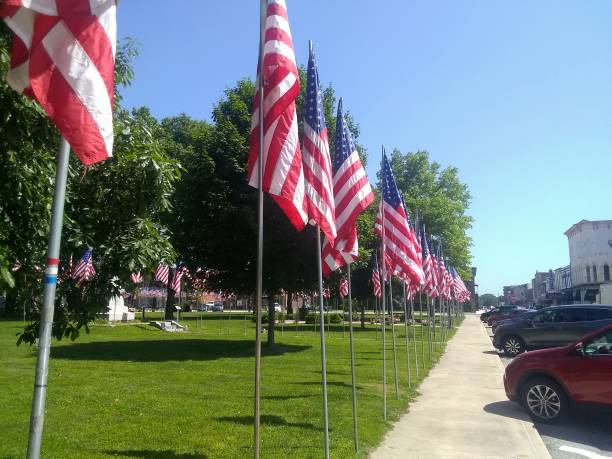 istock American flags in the park 1402956832