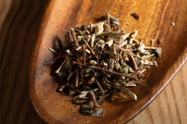 istock chinese medicine Honeysuckle stem on wooden table 1402962376