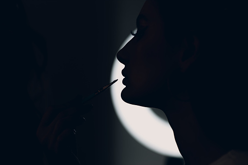 Beautiful young woman applying makeup beauty visage brush silhouette concept