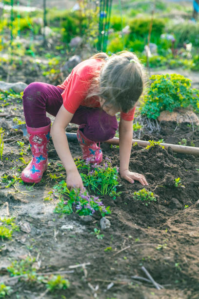 istock Children gardening 1402963127