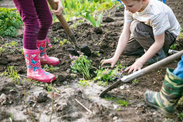 istock Children gardening 1402963130