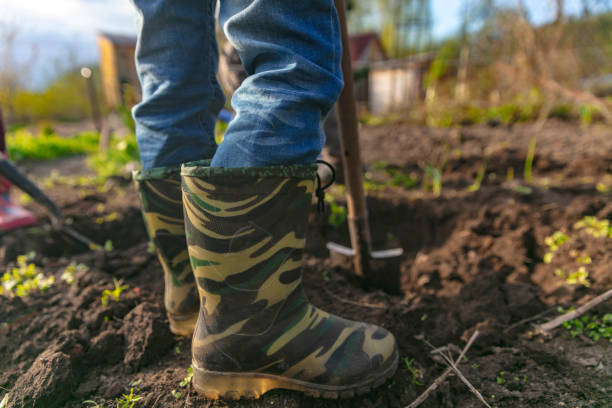 istock Children gardening 1402963133