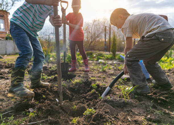 istock Children gardening 1402963137