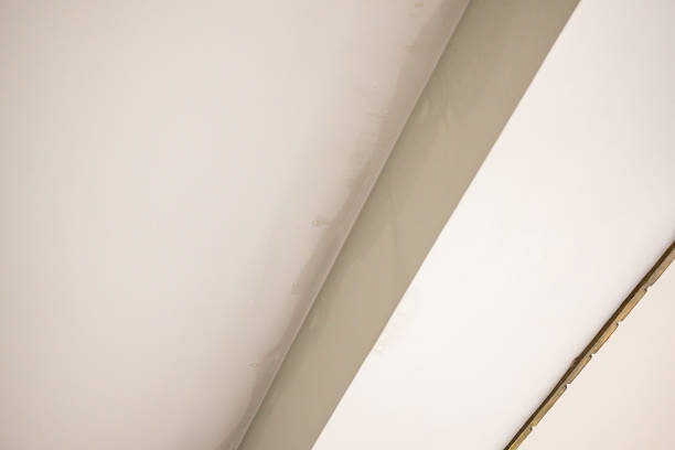 istock Rain water leak damaged ceiling close up 1402963167