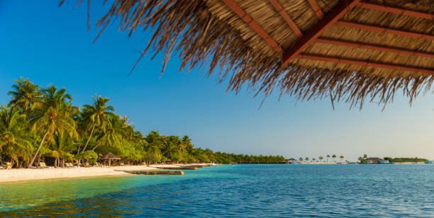 istock Perfect tropical island Maldives paradise beach 1402965753