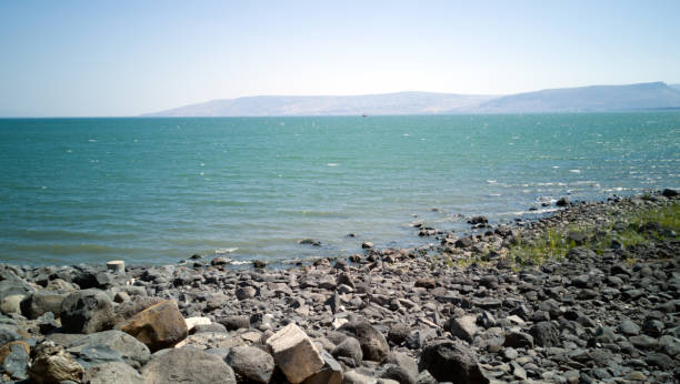 istock beach with stones blue sky sun and blue sea 1402969508