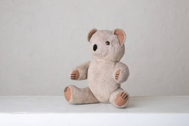 istock The beautiful little teddy bear 1402969624