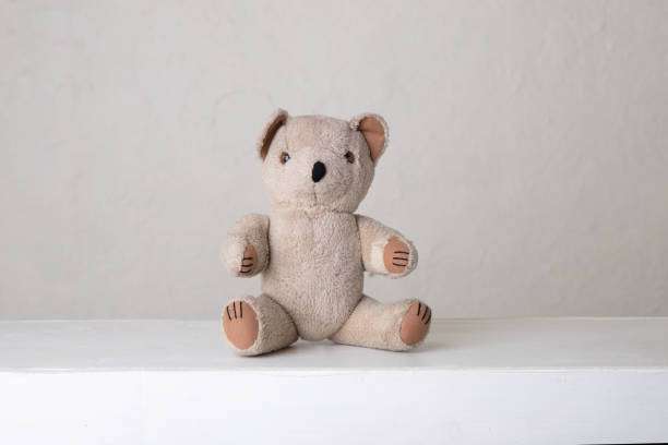 istock The beautiful little teddy bear 1402969625