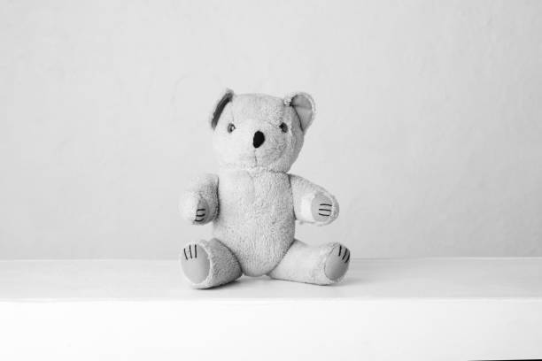 istock The beautiful little teddy bear 1402969626