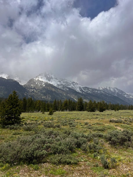 istock Summer in the Grand Tetons 1402973239