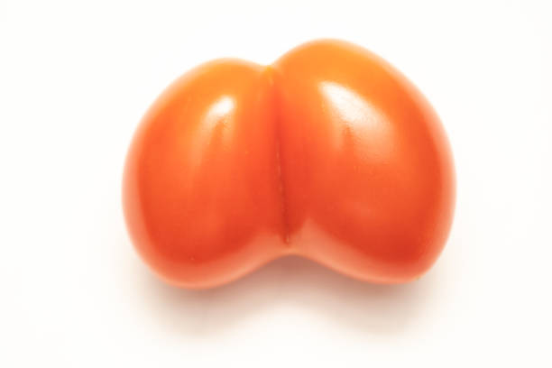 Tomato twins isolated on white background