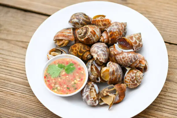 Photo of Fresh Spotted babylon Sea shell limpet ocean gourmet seafood in the restaurant, Babylonia areolata shellfish seafood on white plate with seafood sauce on table background