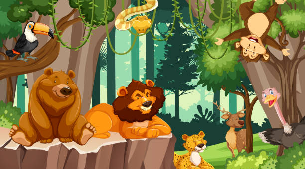 Various animals in the forest Various animals in the forest illustration bills lions stock illustrations