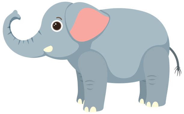 Cartoon Of The Elephant Eye Illustrations, Royalty-Free Vector Graphics &  Clip Art - iStock