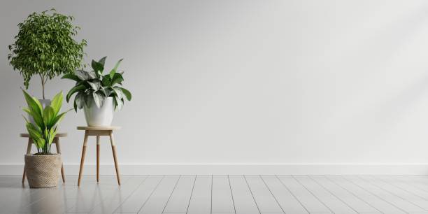 istock Empty white room interior with plant pot on a wooden floor. 1402983469