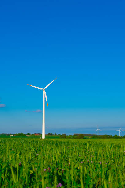 緑の芝生の風力発電機。青空の背景に風車.再生可能エネルギー。代替エネルギー源。環境にやさしい自然エネルギー源。自然エネルギーの消費。 - branch plant part ストックフォトと画像