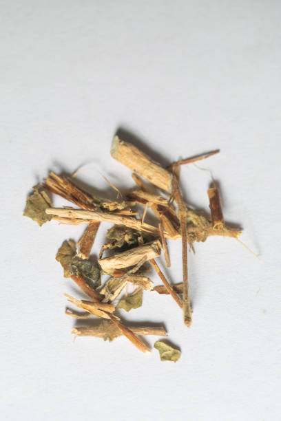 istock chinese medicine Honeysuckle stem on white background 1402984438