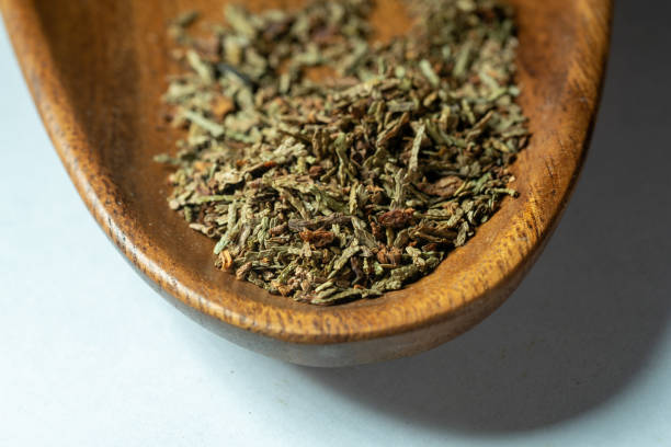 istock chinese medicine Oriental arborvitae on white background 1402985134