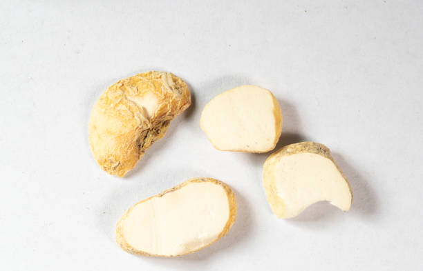 istock chinese medicine Thunberg Fritillary Bulb on white background 1402988470